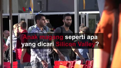 Anak Magang Yang Dicari Di Silicon Valey | Ngobas