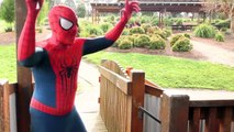 Spiderman Vs Spidergirl - Superhero Battle! w_ Hulk and Joker Superhero  part3