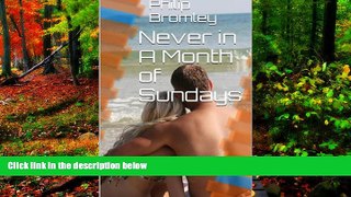 Big Deals  Never in A Month of Sundays  Best Seller Books Best Seller