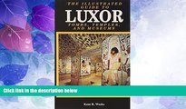 Big Deals  Illustrated Guide To Luxor And The Valley Of The  Kings  Best Seller Books Most Wanted