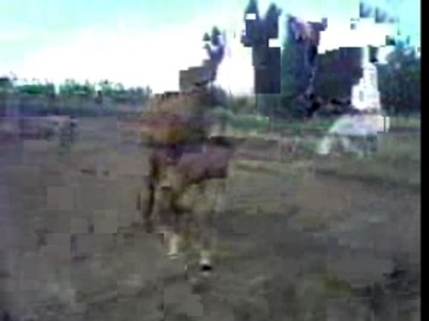 Ma belle tchika et en arriere plan eclair