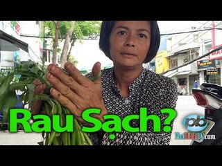 Nói chuyện “rau sạch” với người bán rau