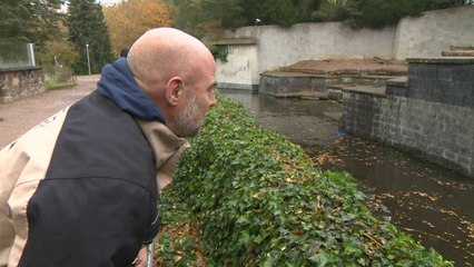 オールボー動物園のヴィルマの死に当惑するロストック動物園 (Nov.4 2016)