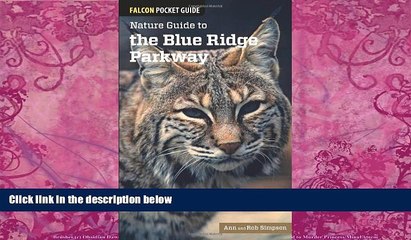 Big Deals  Nature Guide to the Blue Ridge Parkway (Falcon Pocket Guides)  Best Seller Books Best