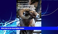 Books to Read  Nature Guide to Yellowstone National Park (Nature Guides to National Parks Series)