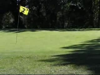 Golfeur Débutant : Motivation et Conseils 🏌️‍♂️ - thumbnail