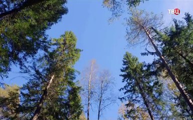 Река памяти 1 серия Фильм Мелодрама (2016)