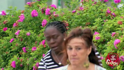 Cute Kitty Cat Attack!