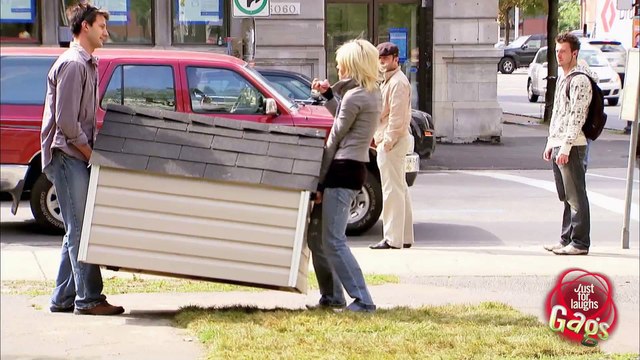 Cute Puppies Galore!