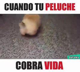 Perro Peluche