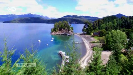 Epic Hitchhiking Adventure to the Queulat Glacier in Patagonia 🚗
