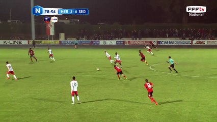 Parade de Mathieu Pichot