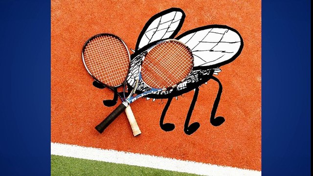 Những tác phẩm minh họa độc đáo từ đồ vật