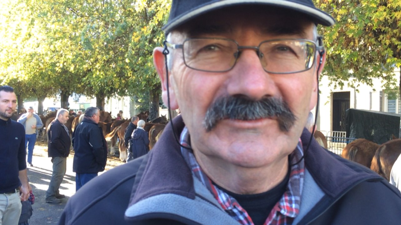 Paulo de l'Amour est dans le pré juge les poulains