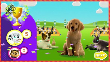 Kids Games | Paw Patrol Games | Super Snuggly Sports Spectacular!