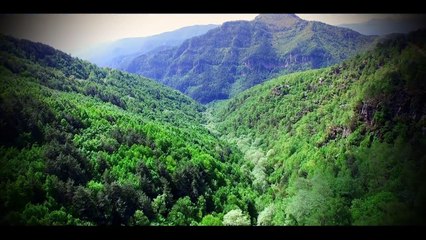 Sase Milenii de Continuitate - Daniel Roxin