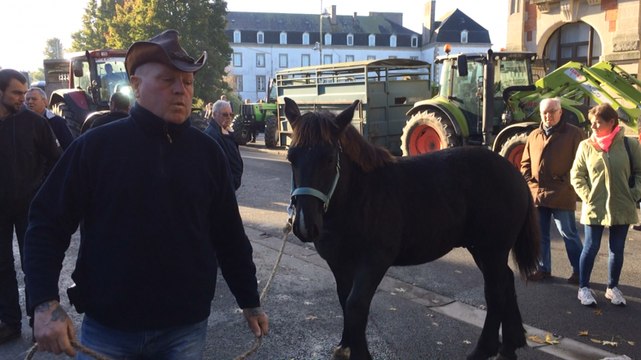 La 15e édition de la foire aux poulains