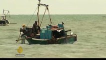 Sri Lanka fishermen accuse Indian trawlers of stealing their livelihoods