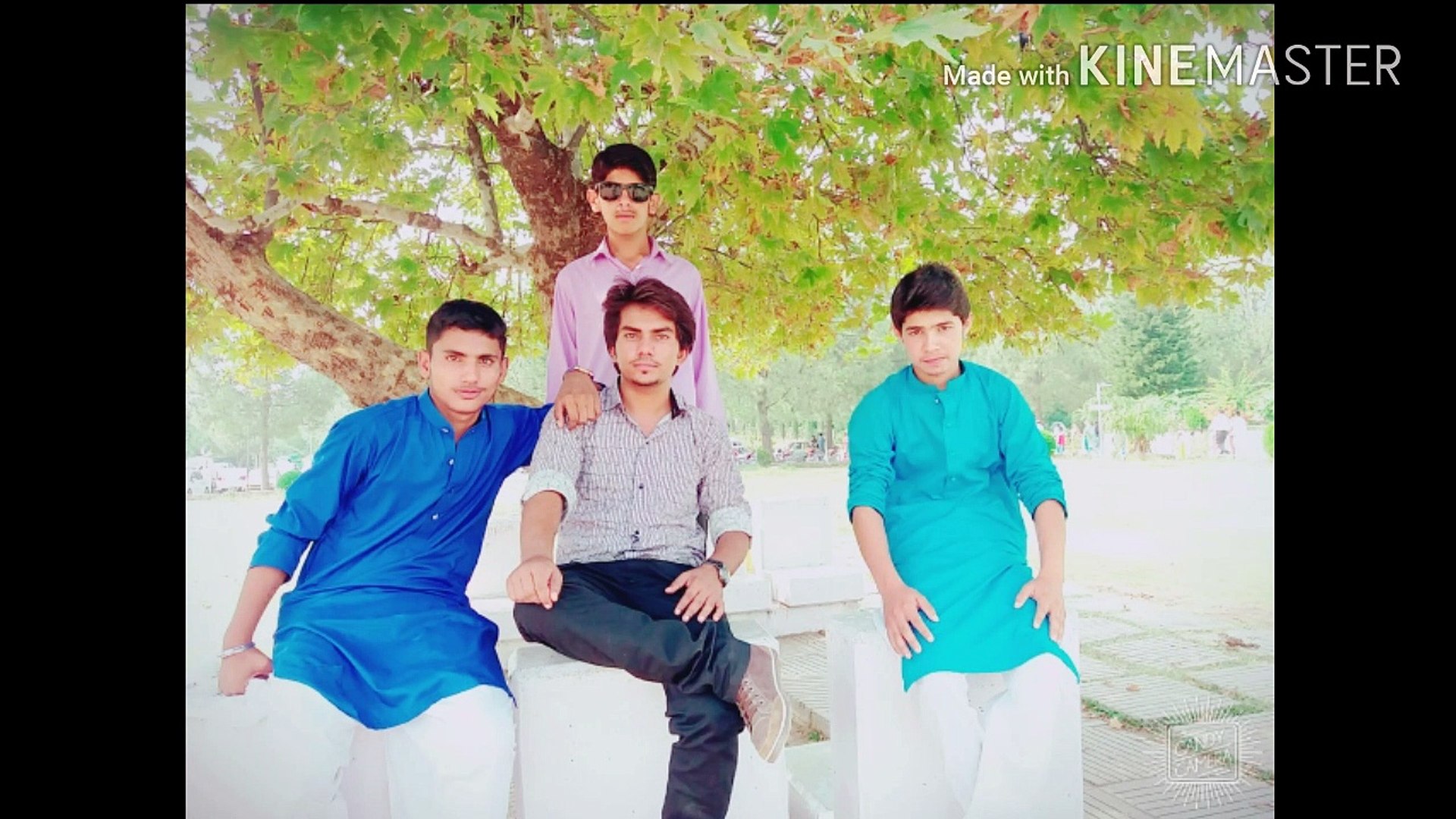 2016 Bollywood