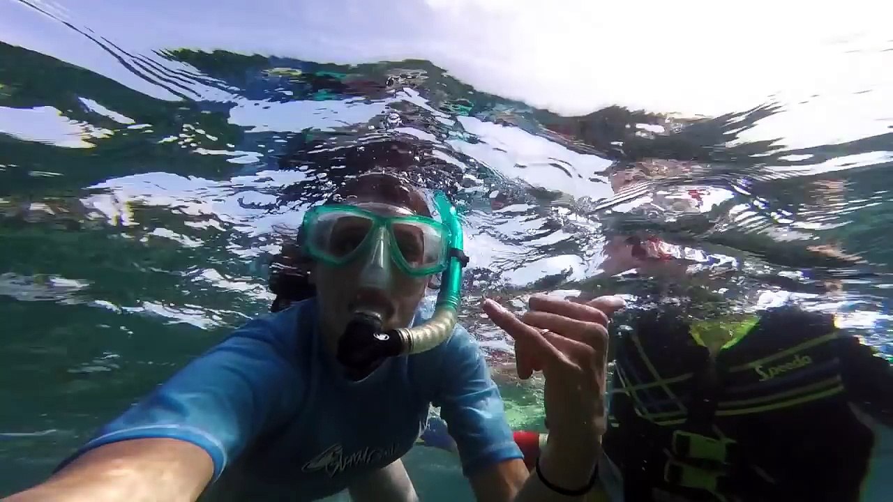 SWIM WITH 60+ DOLPHINS! Kid Swims with Wild Dolphins Open Ocean RARE Adventure Dream Vacation