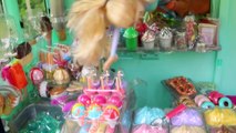 ICE CREAM TRUCK! Ice Cream Cart for Baby Alive Barbie Frozen Dolls   Wooden Melissa & Doug Toy