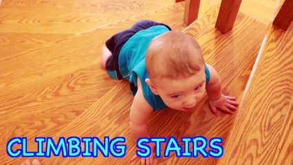 Wild & CRAZY BABY CLIMBING STAIRS! Worlds Cutest Baby ELI Baby Milestones