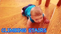 Wild & CRAZY BABY CLIMBING STAIRS! Worlds Cutest Baby ELI Baby Milestones