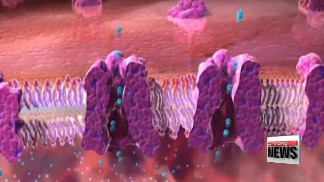 Scientists say blood pressure medication could help prevent lung cancer