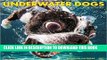 Ebook Underwater Dogs 2017 Wall Calendar Free Read