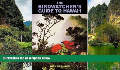 Deals in Books  The Birdwatcher s Guide to Hawai i (Kolowalu Books) (Kolowalu Books (Paperback))