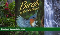 READ NOW  Birds of the Northeast: Washington, D.C. Through New England  Premium Ebooks Online Ebooks