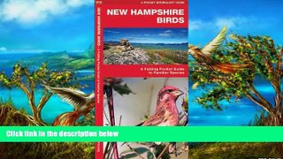 Deals in Books  New Hampshire Birds: A Folding Pocket Guide to Familiar Species (Pocket Naturalist