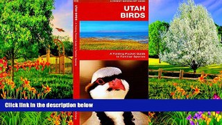 READ NOW  Utah Birds: A Folding Pocket Guide to Familiar Species (Pocket Naturalist Guide Series)