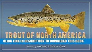 Best Seller Trout of North America Wall Calendar 2017 Free Read