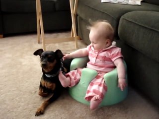 Baby Alissa & Hennessey the Miniature Pinscher