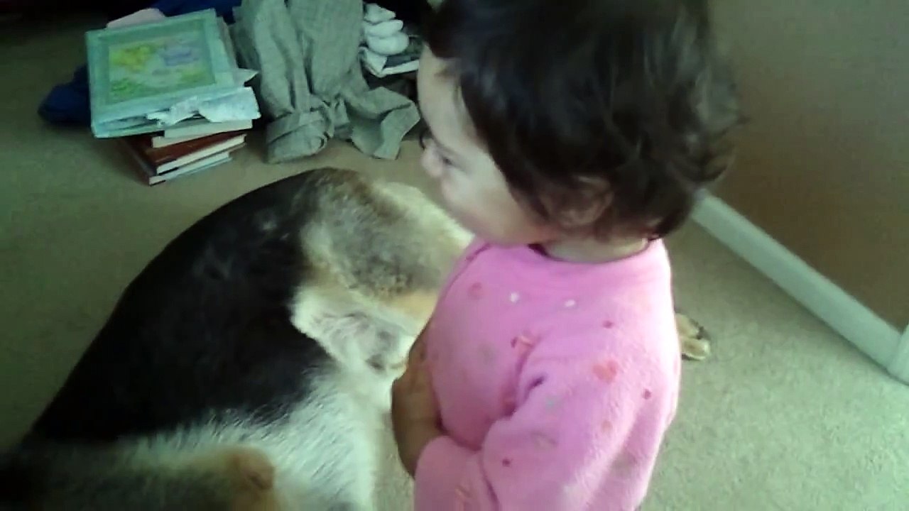 German Shepherd And Baby Playtime