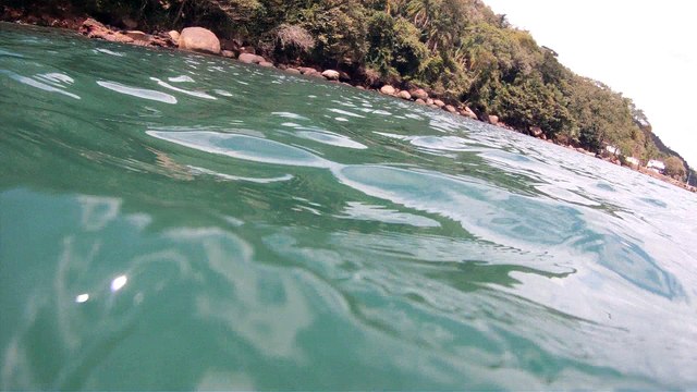 GoPro, Full HD, pesquisa marinha, Ubatuba, SP, Brasil, maravilhas da natureza submarina, Hippocampus é um gênero de peixes ósseos, carangueijo aranha, estrela do mar, grandes descobertas, 2 (13)