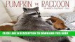 Best Seller Pumpkin the Raccoon 2017 Wall Calendar Free Read