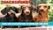 Best Seller Just Dachshunds 2017 Box Calendar (Dog Breed Calendars) Free Read