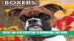 Ebook Just Boxers 2017 Wall Calendar (Dog Breed Calendars) Free Read