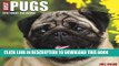 Best Seller Just Pugs 2017 Box Calendar (Dog Breed Calendars) Free Download
