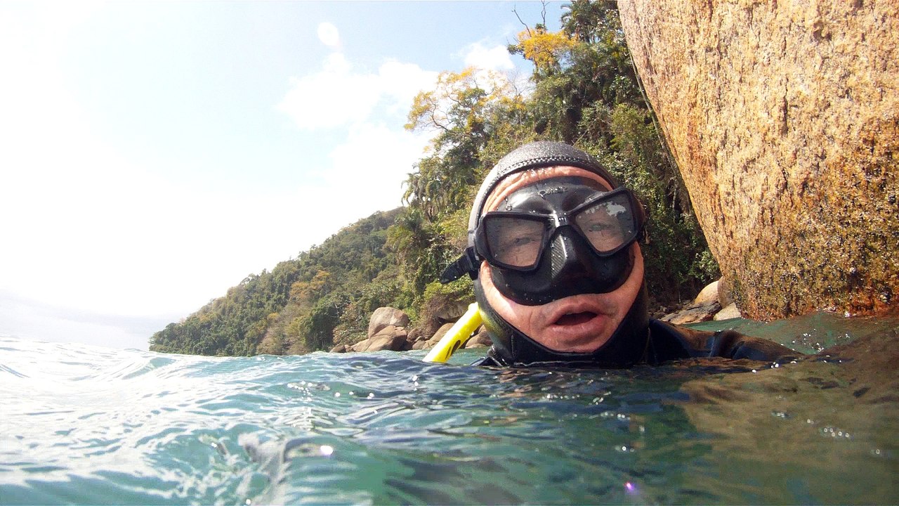 GoPro, Full HD, pesquisa marinha, Ubatuba, SP, Brasil, maravilhas da natureza submarina, Hippocampus é um gênero de peixes ósseos, carangueijo aranha, estrela do mar, grandes descobertas,  2 (30)
