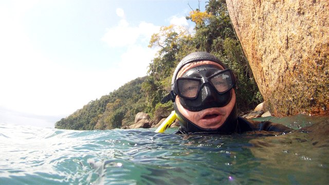 GoPro, Full HD, pesquisa marinha, Ubatuba, SP, Brasil, maravilhas da natureza submarina, Hippocampus é um gênero de peixes ósseos, carangueijo aranha, estrela do mar, grandes descobertas, 2 (30)