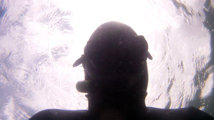 GoPro, Full HD, pesquisa marinha, Ubatuba, SP, Brasil, maravilhas da natureza submarina, Hippocampus é um gênero de peixes ósseos, carangueijo aranha, estrela do mar, grandes descobertas,  2 (34)