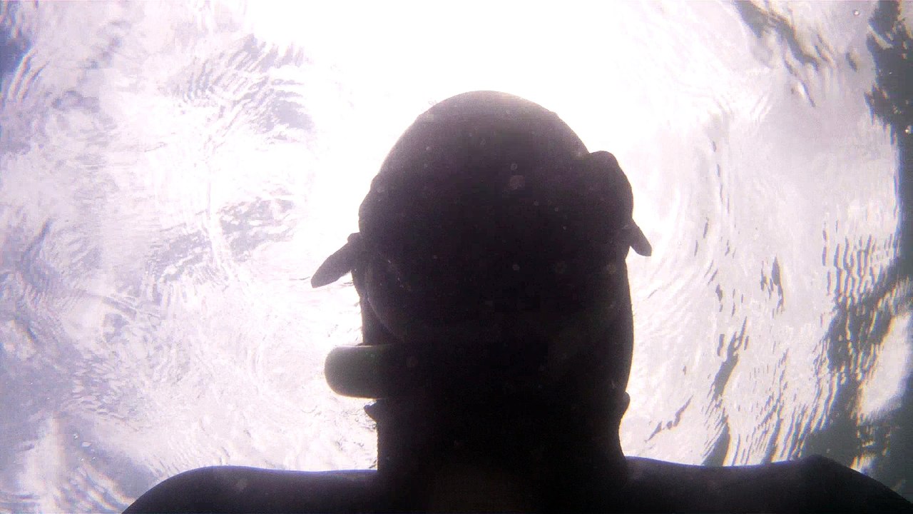 GoPro, Full HD, pesquisa marinha, Ubatuba, SP, Brasil, maravilhas da natureza submarina, Hippocampus é um gênero de peixes ósseos, carangueijo aranha, estrela do mar, grandes descobertas,  2 (34)