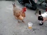 Drunked Cock