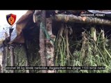PA KOMENT: Përmet, evidentohen dy kapanone me 95 kg hashash - Top Channel Albania - News - Lajme