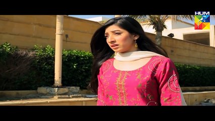 Haya Ke Daman Mein Episode 32 Full Hum TV Drama 12 May 2016
