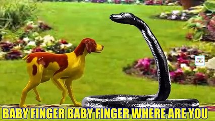 Funny Animals Cartoons Compilation Just for Kids Entertainment finger family Nursery Rhymes Songs