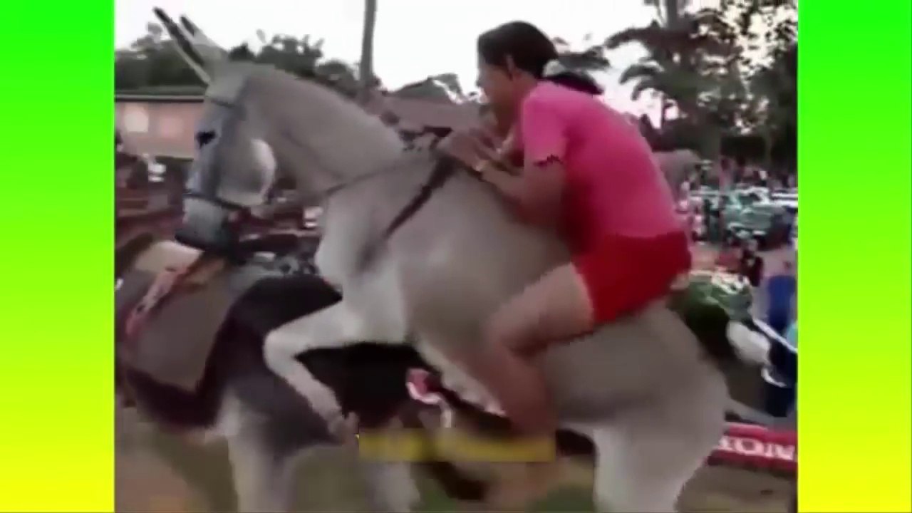 Arab Crazy Funny Videos